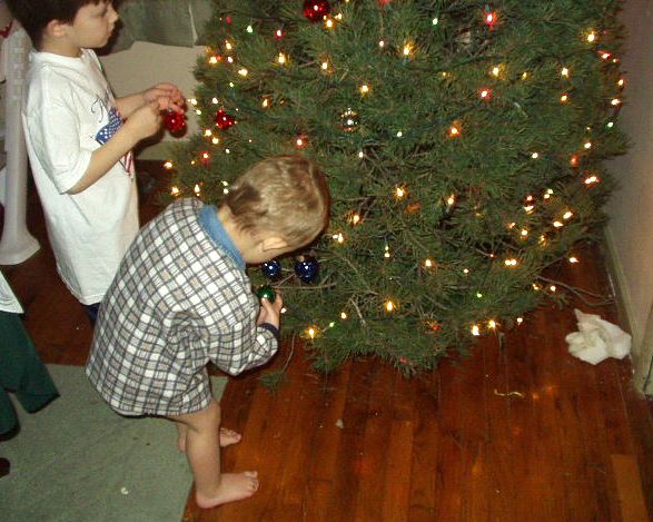 Timothy is trying to choose just the right spot. Elijah has found his spot! (so we think)