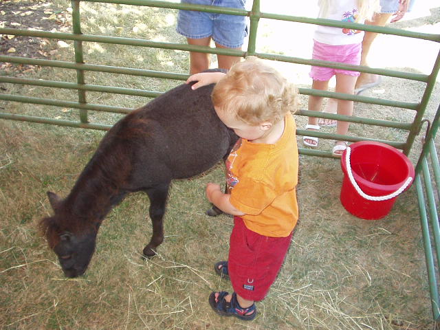 Elijah makes a good farm boy :)