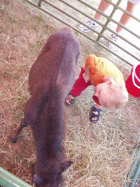 Elijah makes a good farm boy :)
