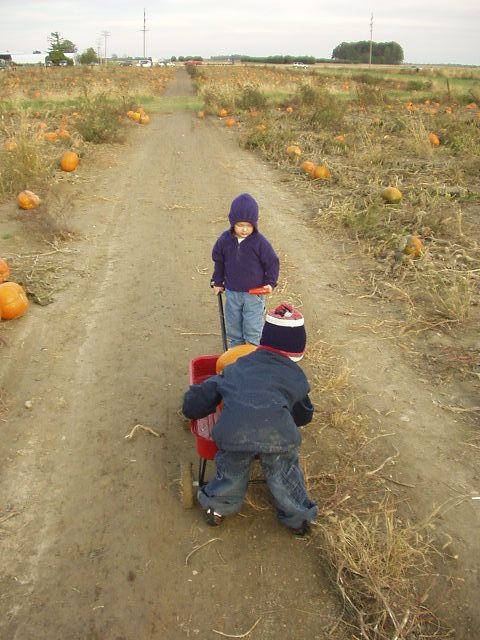We're stuck! Timothy is such a good big brother!!!