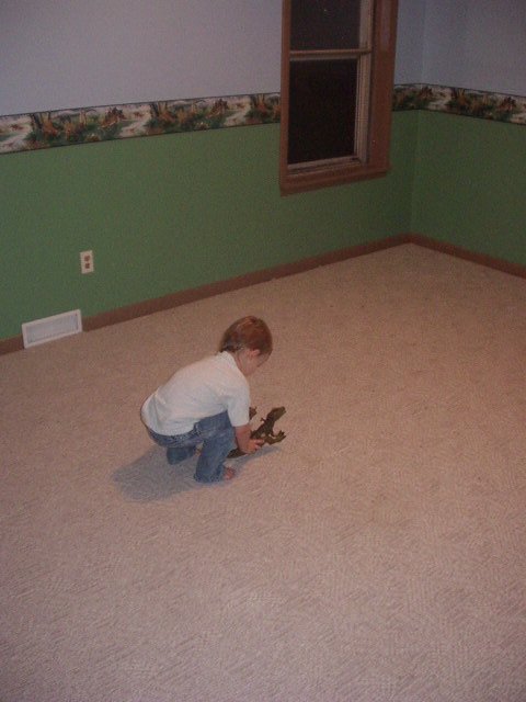 My new Dino room is done! I love it!!!