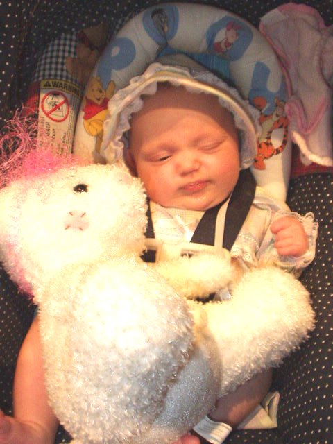 This isn't a very good picture :( A cute little newborn that looked like a piece of corn won :) hehe