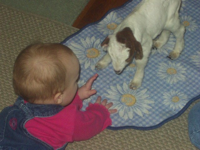 Here...Daisy...come here girl!