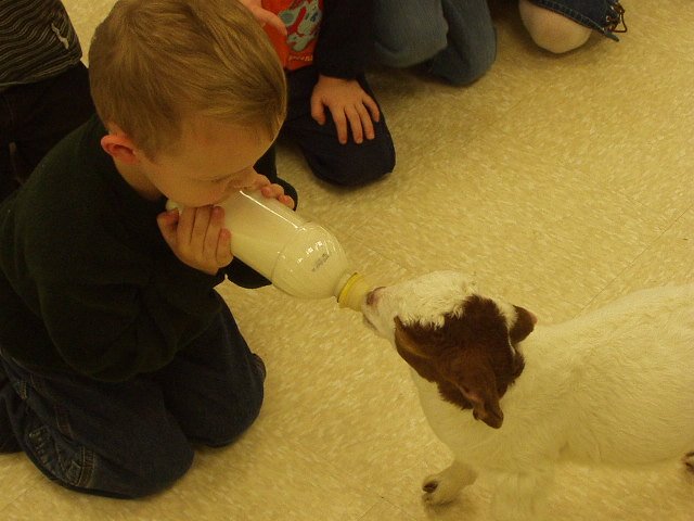 Elijah is a pro at feeding 'kids' :)