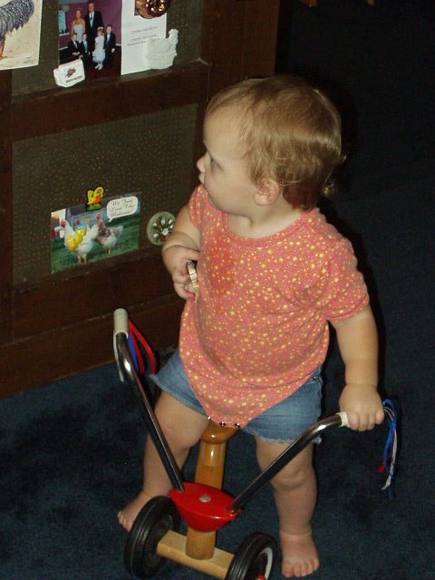 Hmmm....where does this one go??