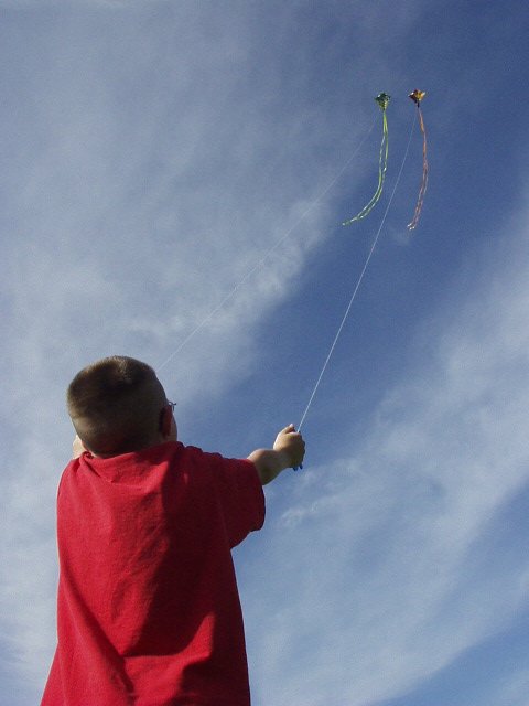 Lets go fly a kite....or two...
