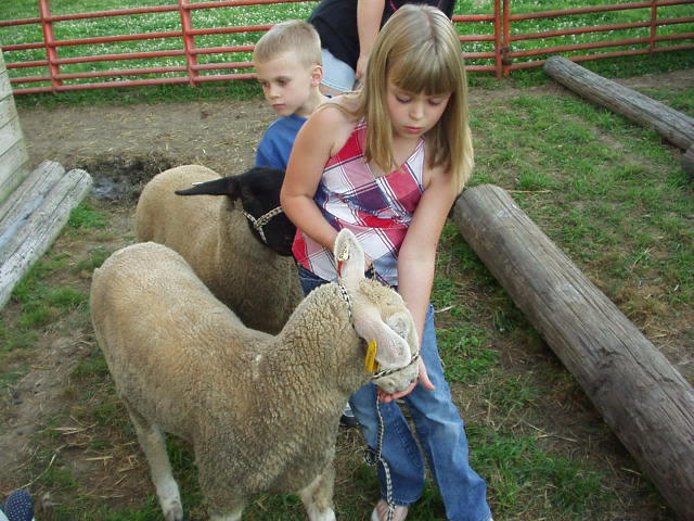 Lamb jam! 