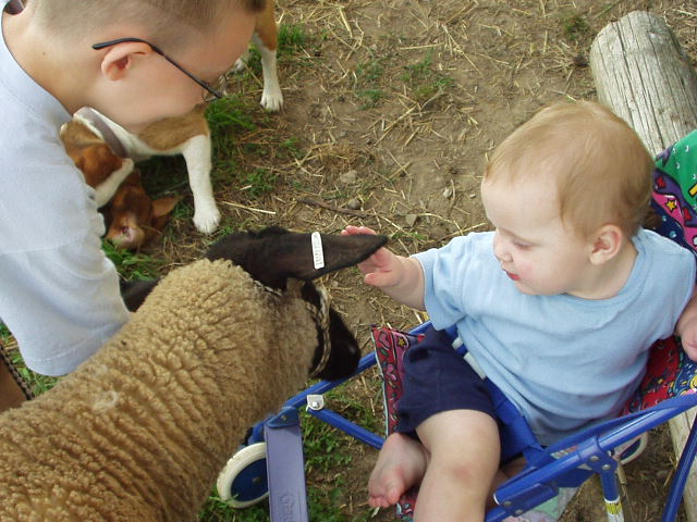 I believe Abigail is the only one of my kids that IS NOT afraid of animals (at this age)!!