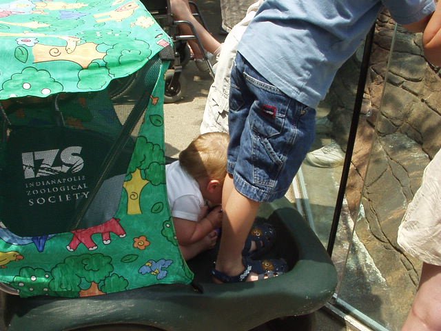 I want to see!!!