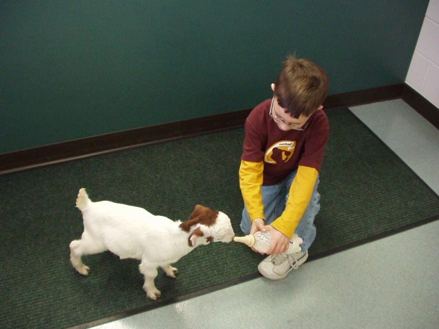 Timothy is trying to get Daisy to eat again :)