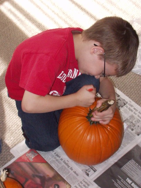 Well Timothy made it!! Not a single cut on him :) hehe