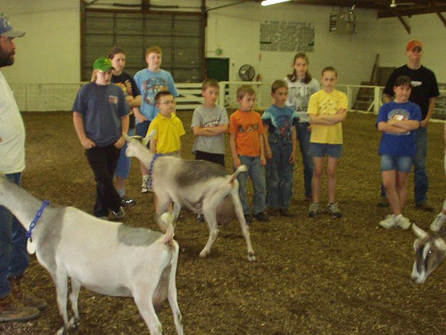 The judge told all of the kids that they better watch out for Timothy! He is already a good showman!