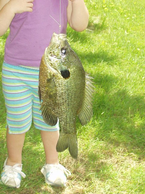 What a big FISH!!