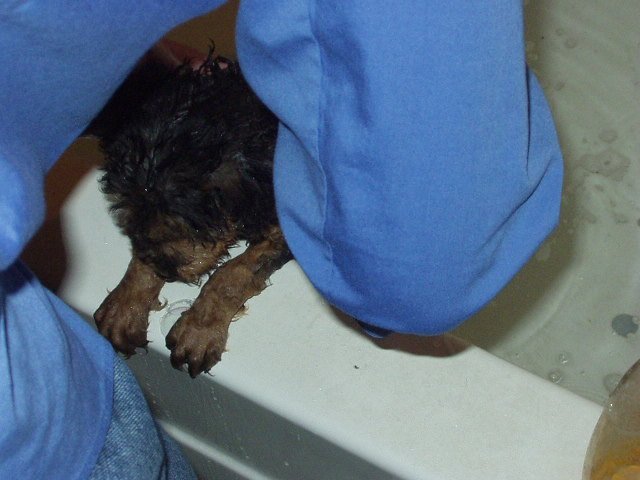 That's the spot!!