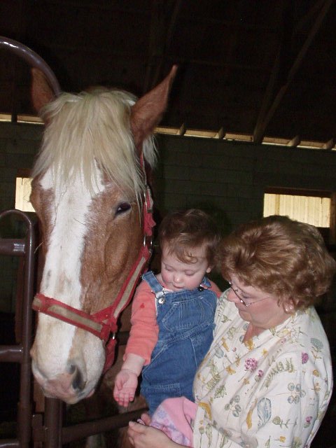 Mamaw taught me how to pet Caps nose :)