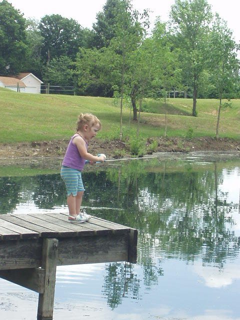 Yell at the fish...