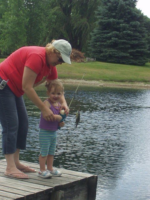 Catch the fish...