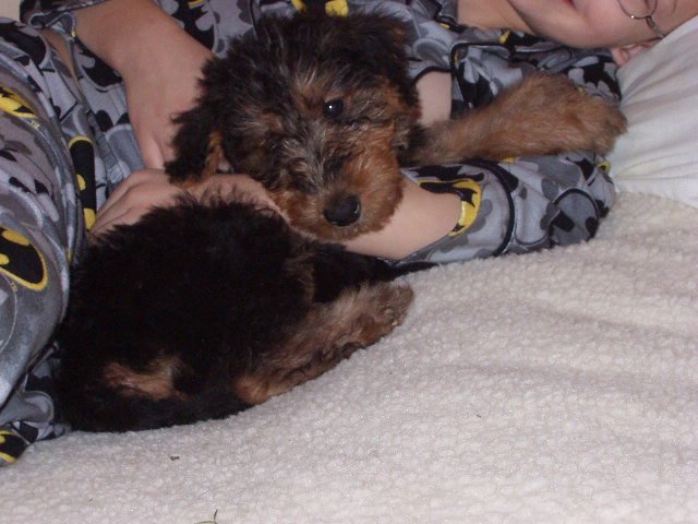 Hope you are a dog lover!!! You know I am going to keep posting pictures of this litte booger!!