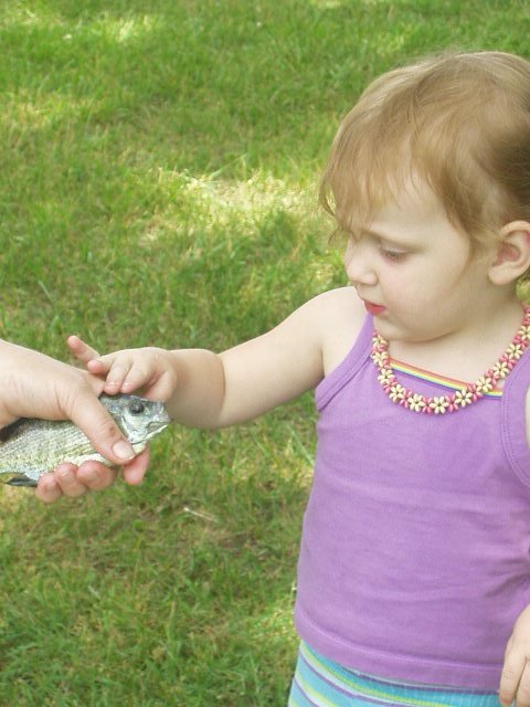 Touch the fish....