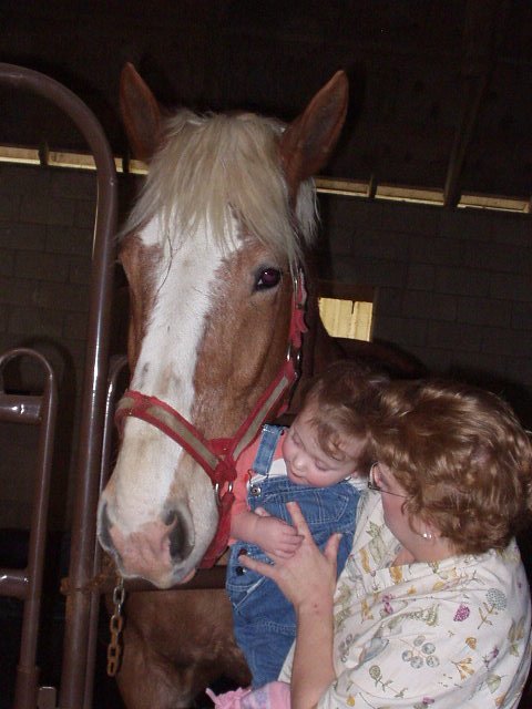 Does this neigh-neigh have teeth??