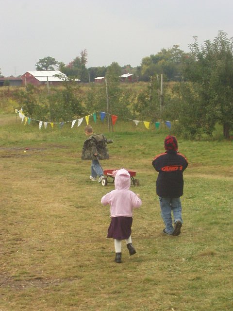 Wait for me boys!!!