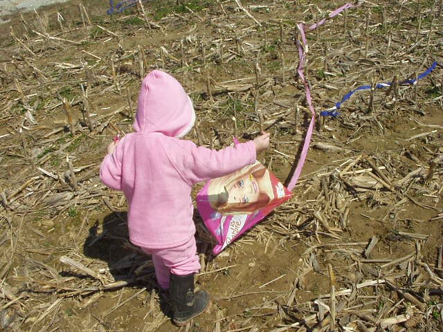 Oh, Pickles!