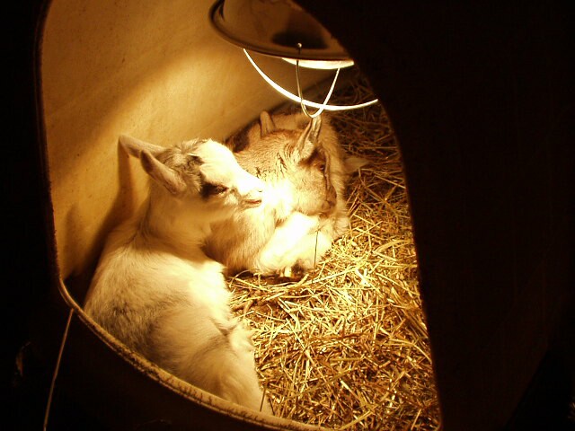It's so warm.......