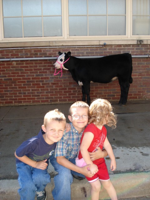 Moo?  :)  hehe