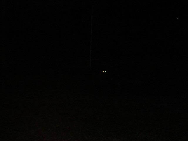 Racoon eyes!