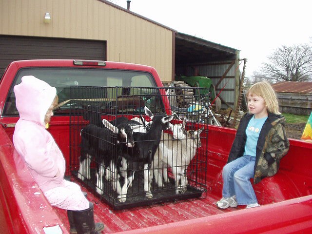 Hey Abigail....do you think they will let us ride back here??