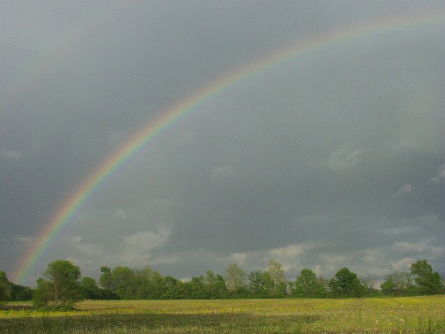 If you look close enough.. you can see another rainbow on top!