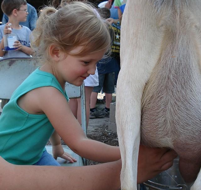 I'm a farm girl!