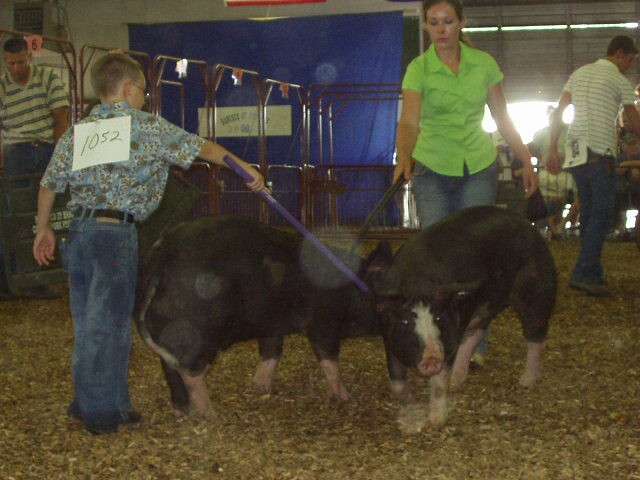Timothy was the smallest and youngest kid in the Berk class. He did very well :)