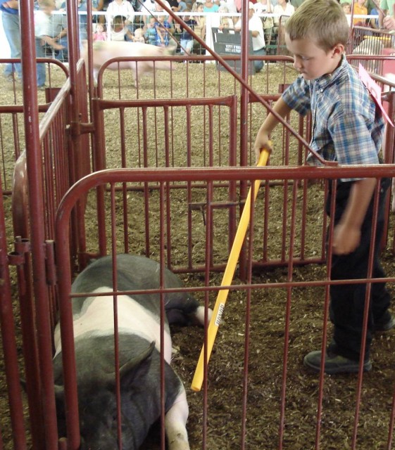 Take that, piggie!