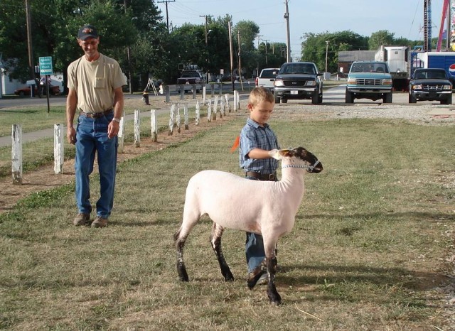 Woah there, sheepie!