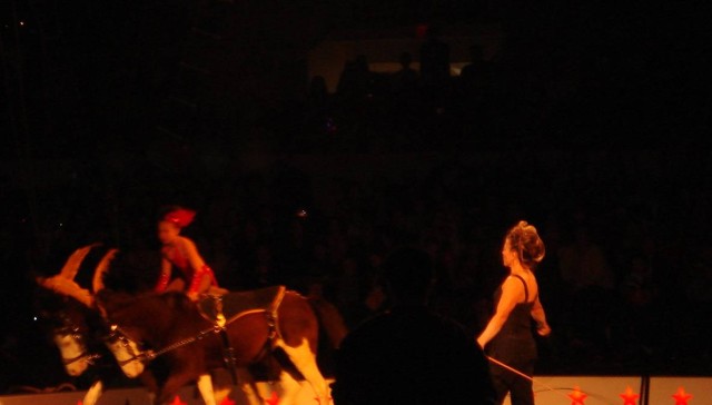 We went to the circus and some sort of donkey show broke out?  hmmm