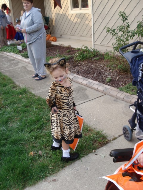 Meow!