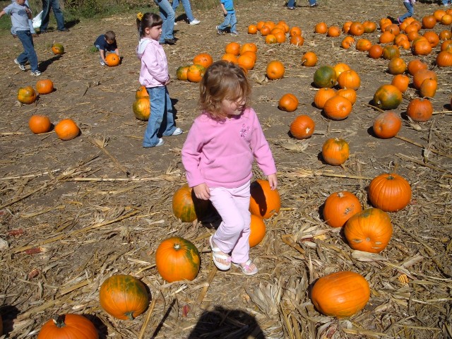 Abby had better find one!
