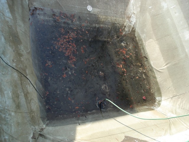 Save some for me!