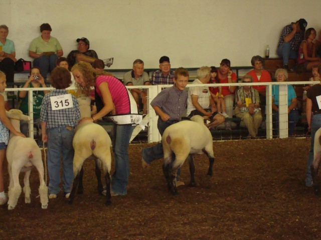 Giddy up!