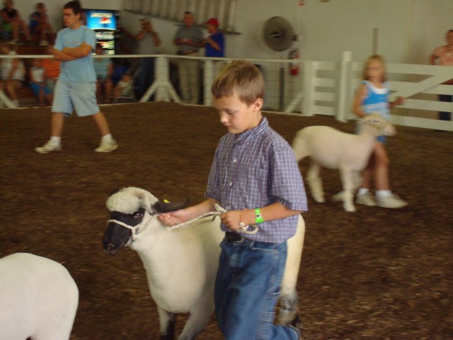 Elijah had a little lamb?