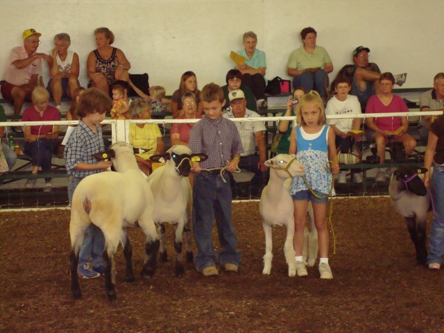 Bah, Ram, Ewe!