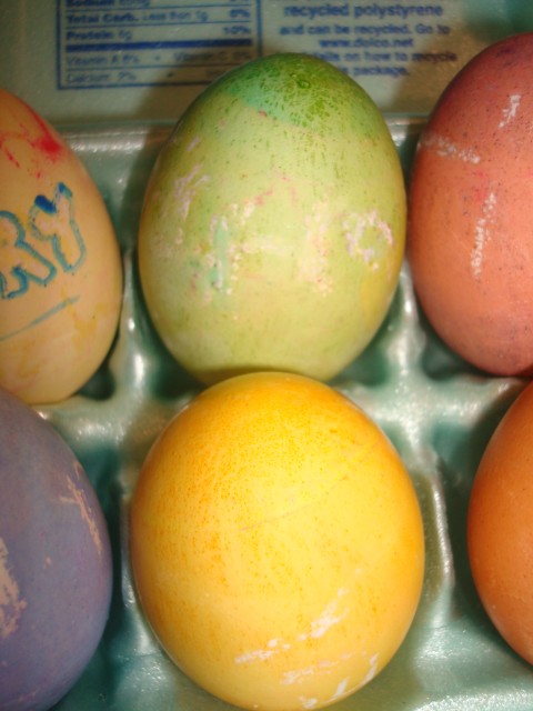 Elijah's eggs!