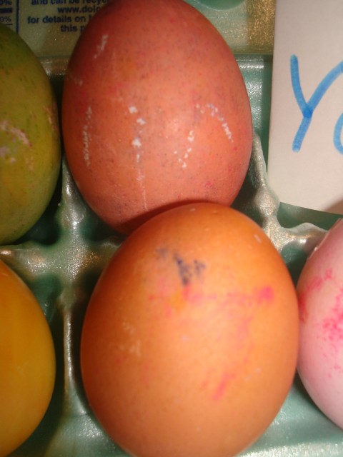 Timmy's eggs!