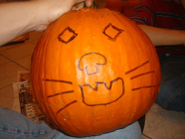 Meow!