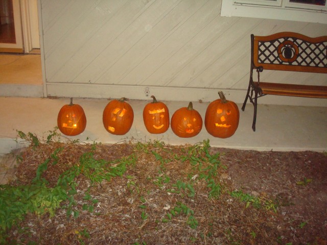 All lit up!