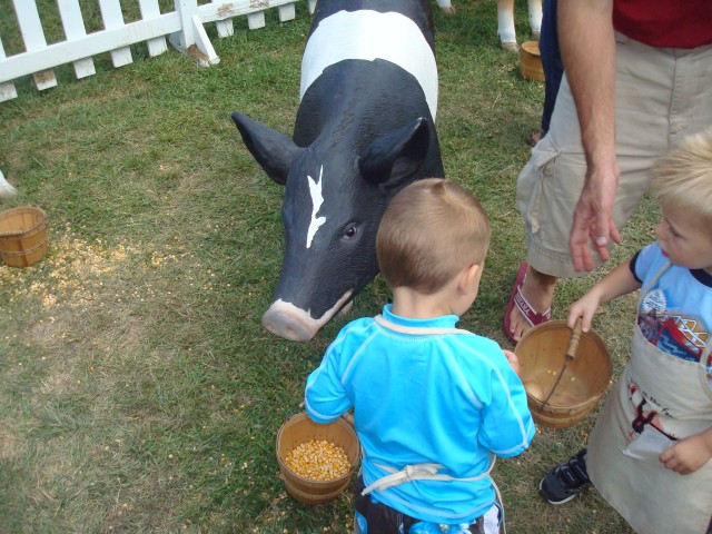 Feed the piggies!