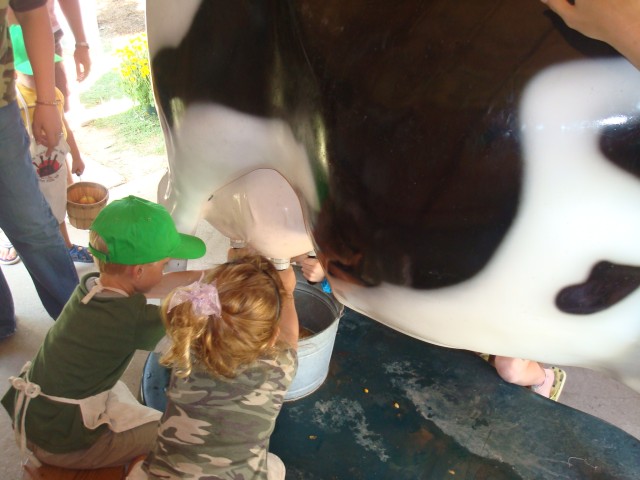 Milk that cow!