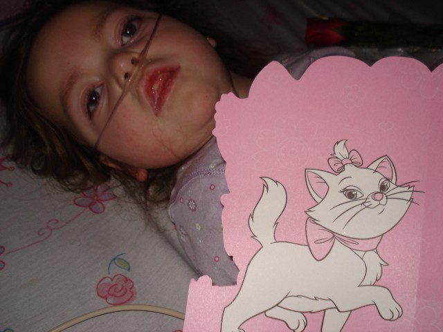 Mary is allergic to kitties, but this card is hypoallergenic :)  (This is the last picture that I got before I broke the camera)