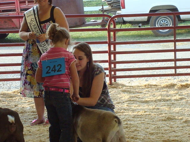 Picture 095.jpg